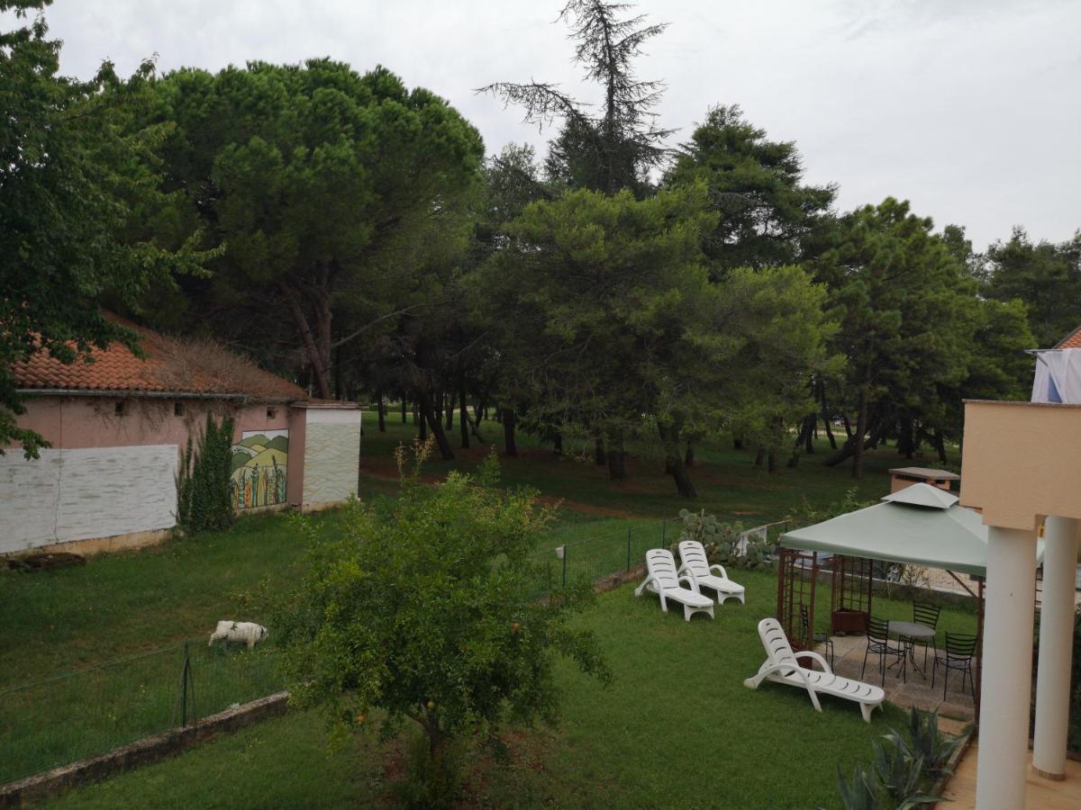 Sara Apartman Umag